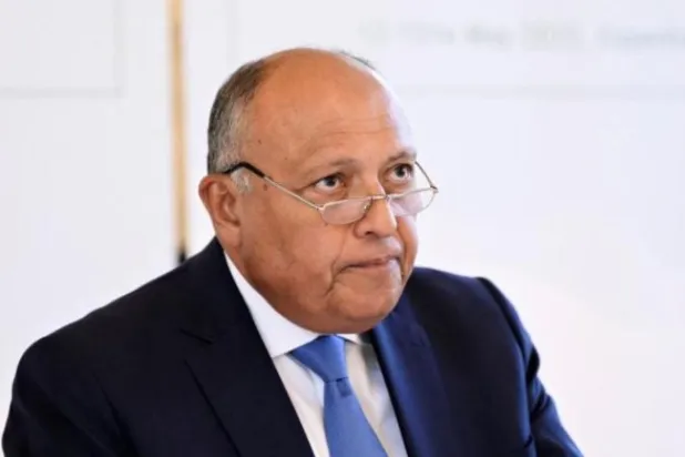 Mısır Dışişleri Bakanı Samih Şukri (Reuters)