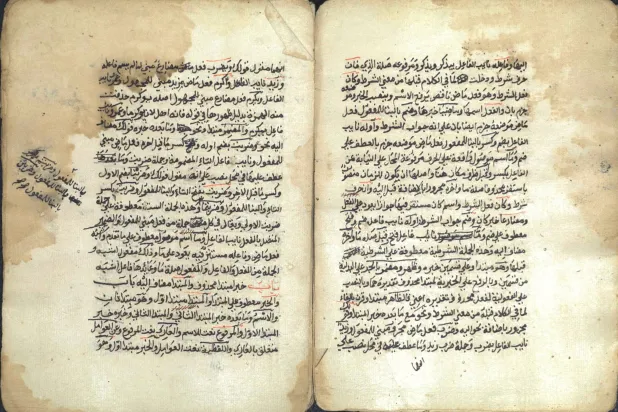 إتاحة المخطوطات النادرة لعموم المتصفحين والباحثين والمهتمين إلكترونياً (وزارة الثقافة)