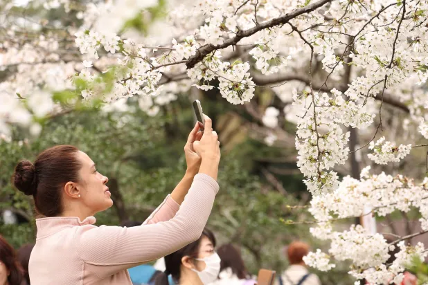 كأنها بدايات جديدة (وكالة الأنباء الألمانية)