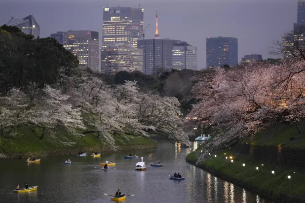 بحلول عام 2053.. «ساتو» اسم لكل اليابانيين