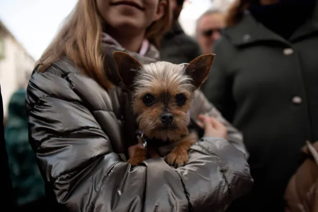 فتاة تحمل كلبها الأليف (أ.ف.ب)