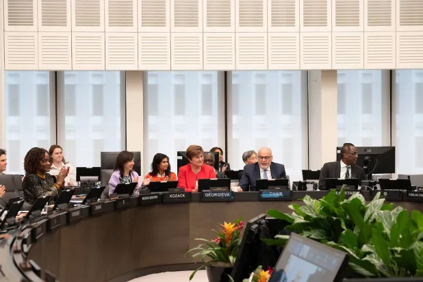 المجلس التنفيذي لصندوق النقد الدولي خلال جلسة الموافقة على إعادة تعيين غورغييفا (إكس)