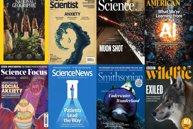 التوازن البيئي من تخضير سيناء إلى غابات أميركا وذئاب بريطانيا