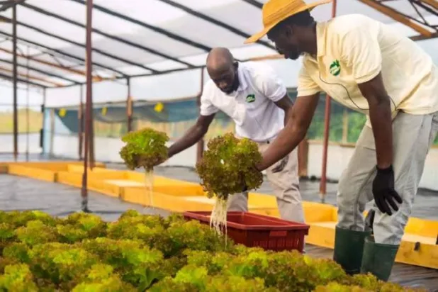 التكنولوجيا تُحلّق بالبشرية بعيداً (جامعة أستون)