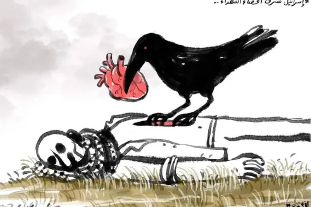 دعاء العدل في رسم عن سرقة إسرائيل للأعضاء