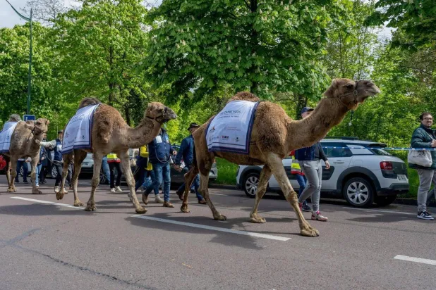 المسيرة التي نُظمت في باريس طافت شوارع العاصمة (واس)