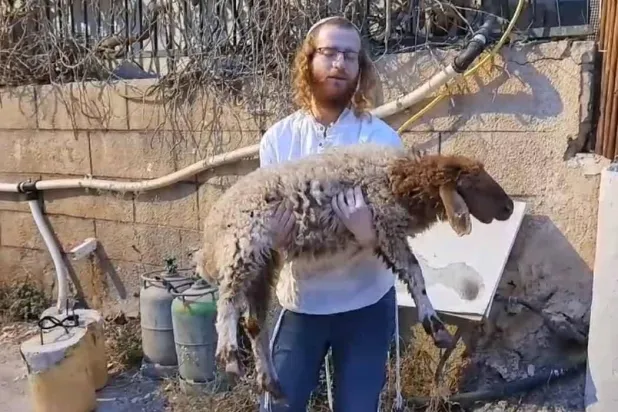 أحد أعضاء جمعية «عائدون إلى الجبل» اليهودية قبل محاولة إدخال قربان لذبحه في الأقصى (الجمعية)