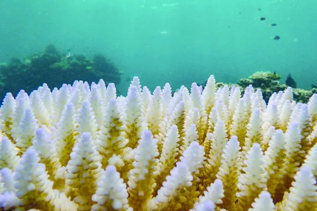 دليل على الآثار الضارة لتغيُّر المناخ (رويترز)