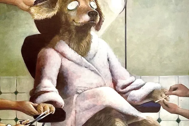 الدلال 5 نجوم (صور المنتجع)