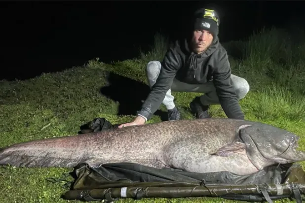 الصيد الثمين (مزرعة شيغبورو)