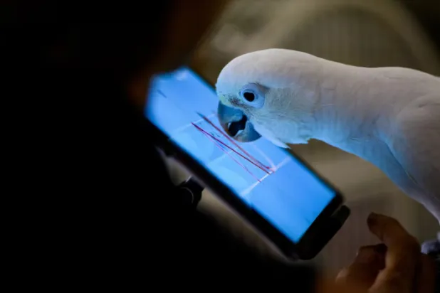 صورة نشرها الباحثون لجزء من تجربتهم