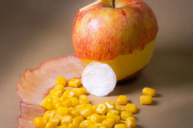 ضمادة مصنوعة من مواد نباتية متوافقة حيوياً مع البيئة (المعهد الإيطالي للتكنولوجيا)