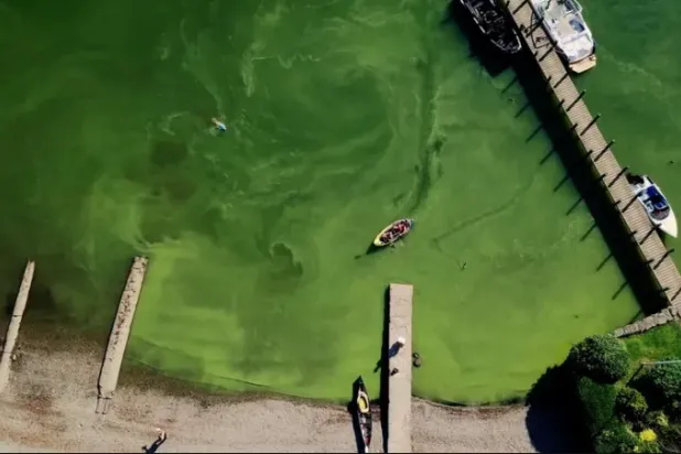 البحيرة باللون الأخضر (حملة «أنقذوا ويندرمير»)