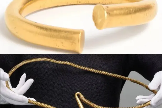 الخسارة الهائلة (مجلس مقاطعة كامبريدجشير)