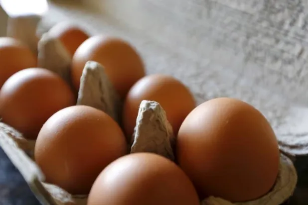 حبات من البيض البني في كاليفورنيا (أرشيفية - رويترز)