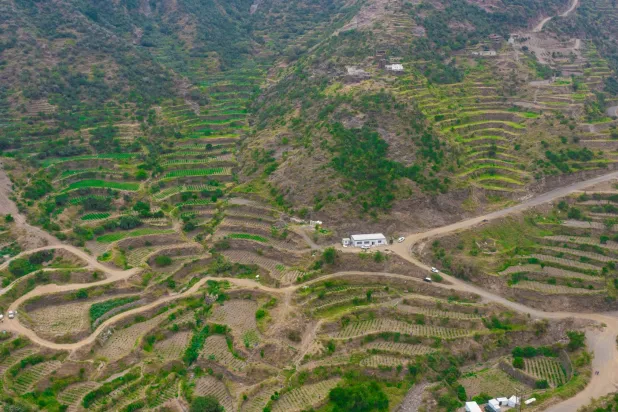 تعدّ منطقة جازان غنية بالبن السعودي ذي الجودة العالية والنكهة المميزة (الشرق الأوسط)