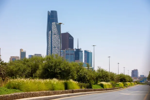 عمليات تشجير في طريق الملك فهد بالعاصمة السعودية الرياض (الشرق الأوسط)