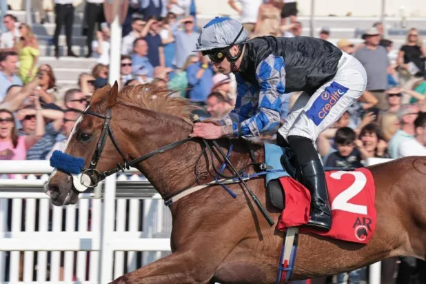 الجواد هدايا خلال السباق العالمي (الشرق الأوسط)