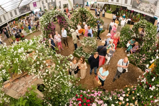 معرض الزهور أعاد الإحساس بالجدوى (غيتي)