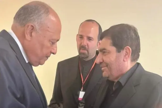 شكري خلال لقاء الرئيس محمد مخبر (الخارجية المصرية)