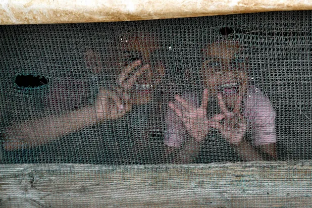 طفلة سورية وأمها في خيمة بمعسكر للاجئين السوريين بشمال عكار (أرشيفية - أ.ف.ب)