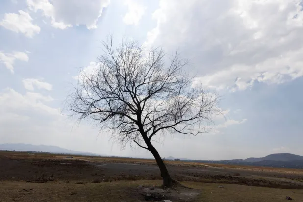 زيادة الجفاف نتيجة درجات حرارة قياسية في المكسيك (رويترز)
