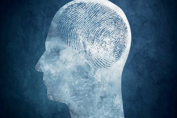 Beyin parmak izi kişiden kişiye değişir (Carnegie Mellon Üniversitesi)