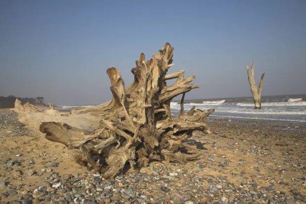 الشاطئ المُهدَّد بالتآكل (غيتي)