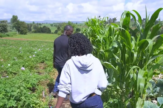 صاحبا مشروع زراعي في كينيا (من الموقع الإلكتروني للبنك الدولي)
