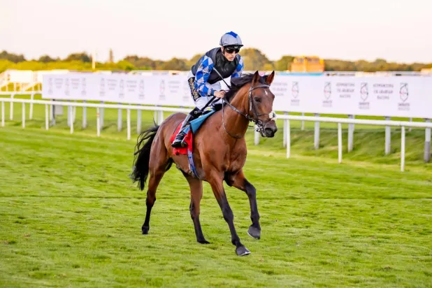 متوهج عذبة خلال السباق (الشرق الأوسط)