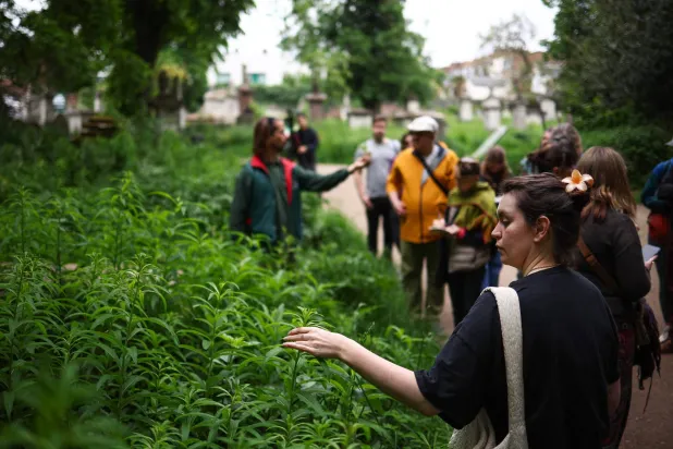 الأشخاص الذين يشاركون في جولة للبحث عن النباتات بحديقة مقبرة «تاور هامليتس» بلندن (أ.ف.ب)