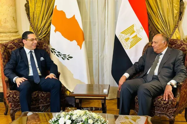 شكري ونظيره القبرصي (الخارجية المصرية)