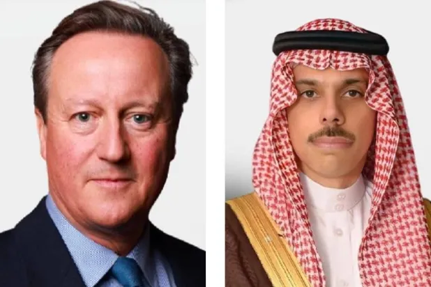Prens Faysal bin Ferhan ve  David Cameron (Şarku'l Avsat)