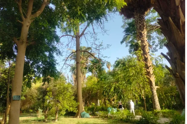 زوّار الحديقة من السائحين الأجانب (الشرق الأوسط)