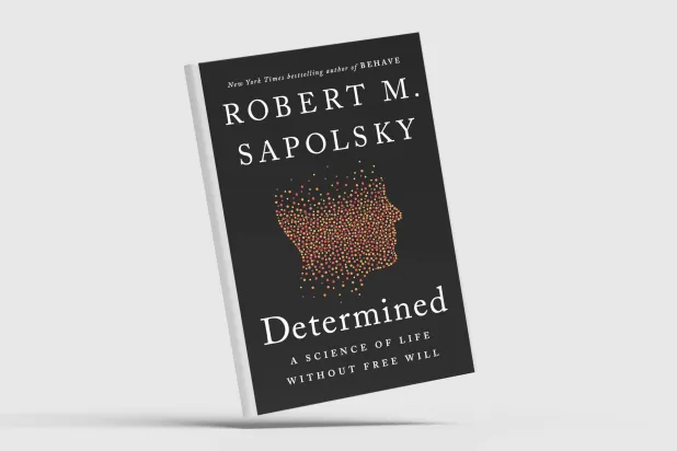 إشكالية الإرادة الحرة