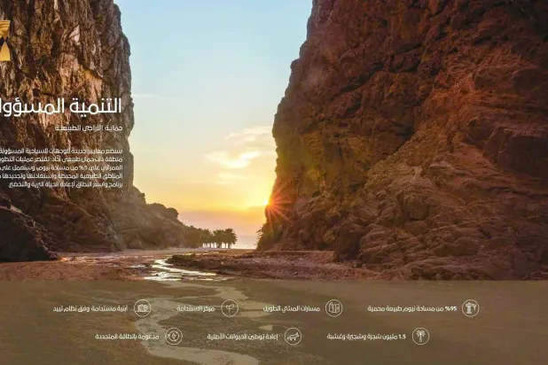 من المتوقع أن يسهم المشروع بنحو 2.6 مليار ريال سعودي للمملكة بحلول عام 2030 (الشرق الأوسط)