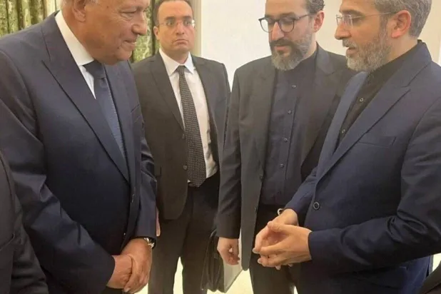 Shoukry during a conversation with Bagheri Kani in Tehran at the end of May (IRNA)