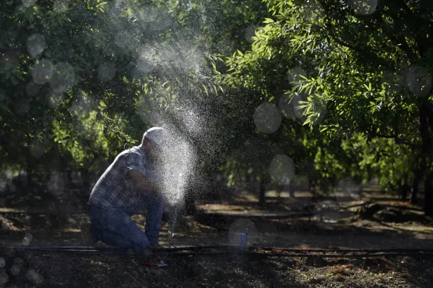 مزارع يقوم بإصلاح تسرب في خط المياه الذي يسقي بعض أشجار اللوز في المزرعة التي يديرها في فيزاليا كاليفورنيا وسط موجة الحر (إ.ب.أ)