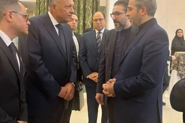 شكري يقدم العزاء للقائم بأعمال خارجية إيران علي باقري في وفاة رئيسي (الخارجية المصرية)