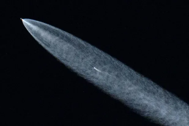 يظهر صاروخ «فالكون 9» بحمولة 20 قمراً صناعياً في سماء لونديل في كاليفورنيا (أ.ف.ب)