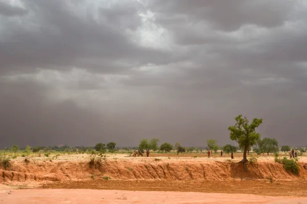 متنزه وطني على حدود نيجيريا وبنين مغلق منذ عام بسبب الإرهاب (التقرير)