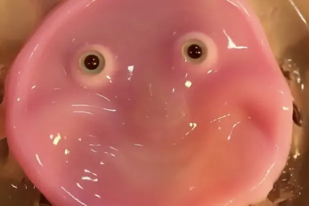 صورة نشرتها جامعة طوكيو للوجه المبتكر