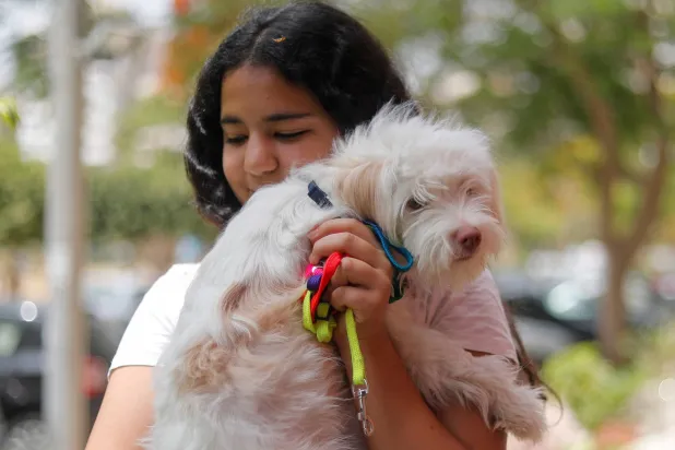 يمكن للطفيليات أن تكون مؤذية جداً للحيوانات الأليفة (رويترز)