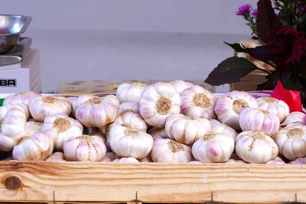 صورة للثوم (بكسباي/pixabay)