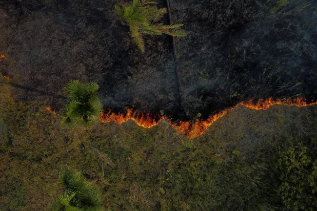 وصل معدّل حرائق الغابات إلى مستويات قياسية خلال النصف الأول من العام الحالي (أ.ف.ب)