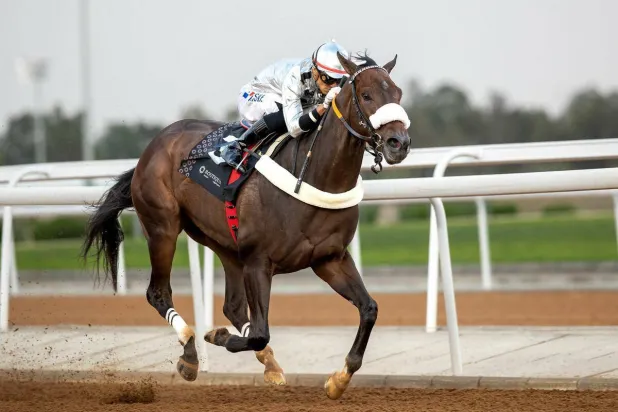 هذا الموسم يشتمل في رزنامته على 33 كأساً (هيئة الفروسية)