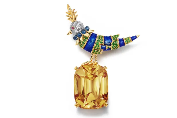 بروش من زركون أصفر يزيد على 66 قيراطاً (تيفاني آند كو)