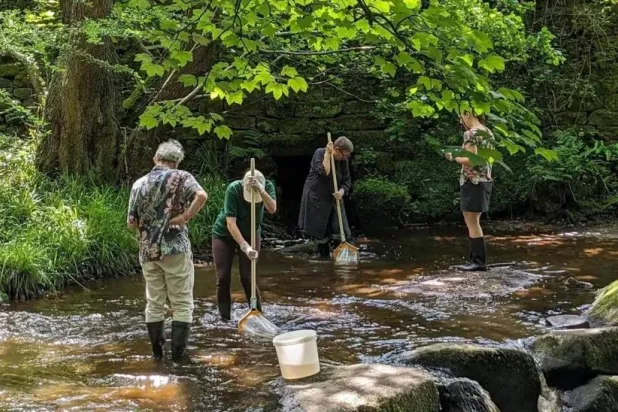 المُنقِذون أجمل البشر (مواقع التواصل)