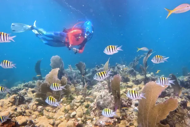 التلوّث مُسمِّم للأسماك (تعبيرية - أ.ف.ب)