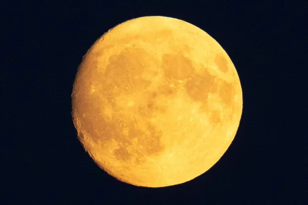 ألغاز ومفاجآت (رويترز)